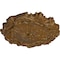 Ekena Millwork Plymouth Ceiling Medallion (Fits Canopies up to 1 5/8"), 16 3/4"OD x 1 3/8"P, Smokey Topaz Crackle CM16PLSTC - alternate 3